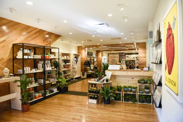 A bright, modern boutique interior with wood floors, black shelving units filled with products, potted green plants, a wooden counter, and a large yellow wall art print featuring a red anatomical heart.